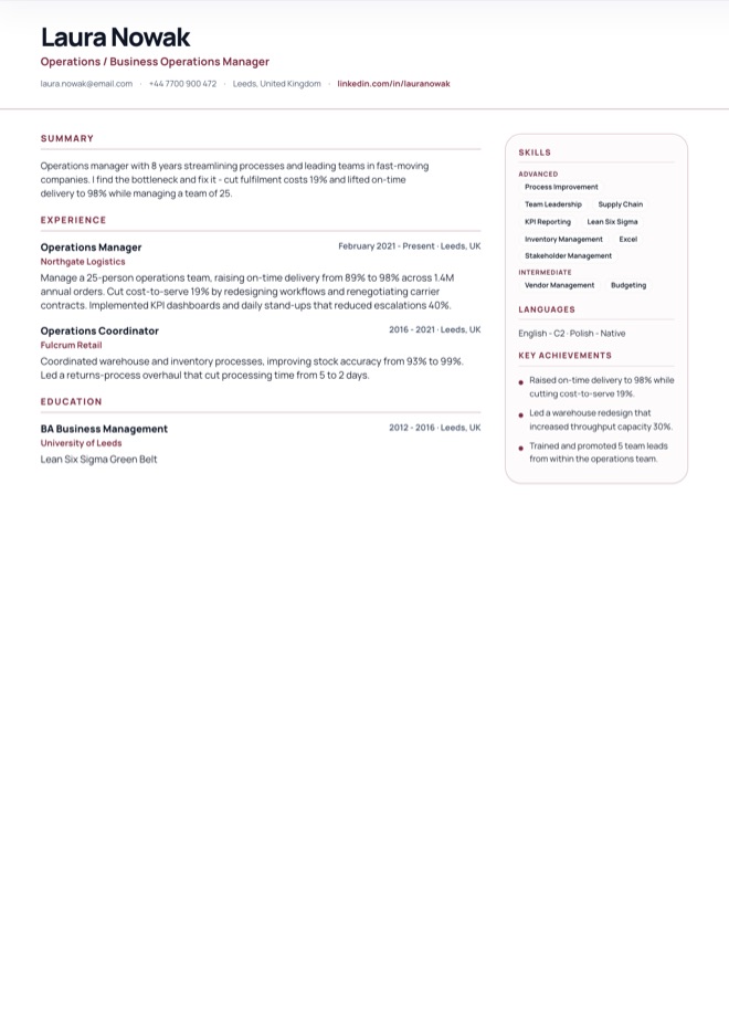 Project Manager CV Template preview